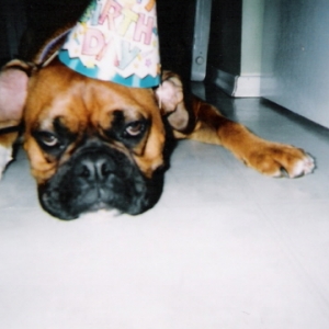 Party Pooper