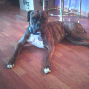 Just Relaxing
