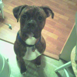 Treat Please