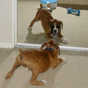 Hey, Wanna Play?