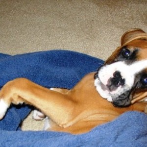 My first bath