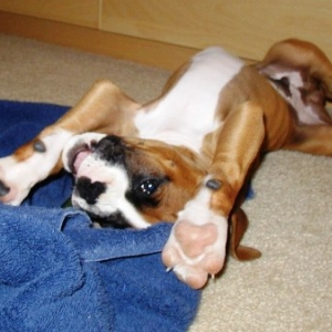 Rub My Belly, Pleaaasseee!