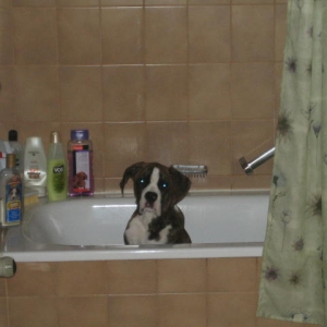 I'm not doing anything!
