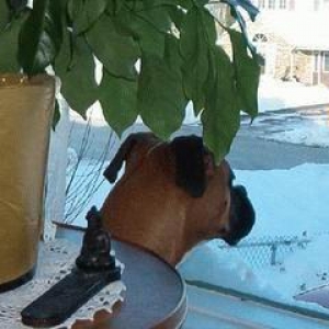 Is he home Yet....