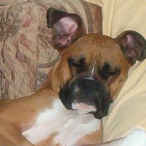 Sleep Time