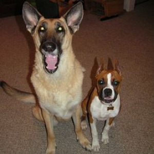 Josie & Star Best Freinds for Life!!!