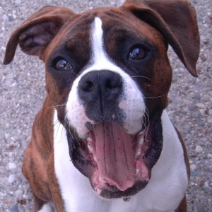 Big Yawn!!