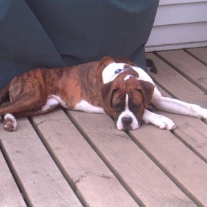 Taking a snooze