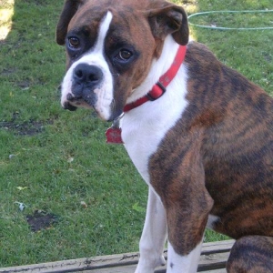 I'm getting so big!!