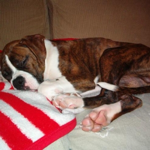 Snoozing!