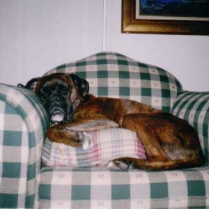 yes i am comfy thanks