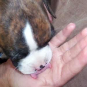 Already giving kisses!!!