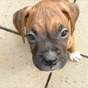 Closeup!