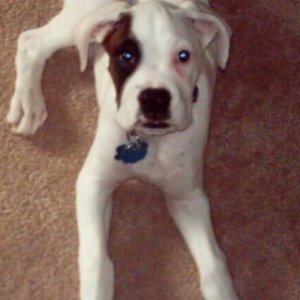 13 weeks old