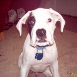 13 weeks old