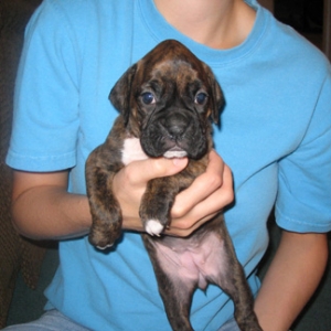 Roxy 4wks