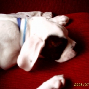 snore...snore