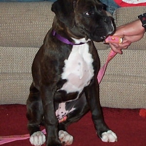 Zoe in April 05