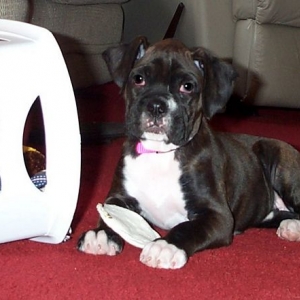 Zoe in May 05