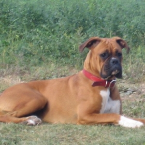 Lucy at 11 months