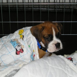 Kahne