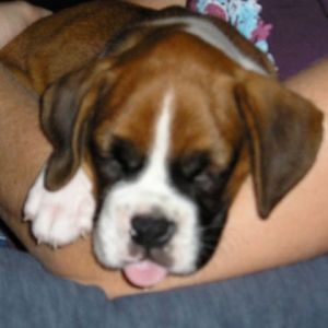 Kahne
