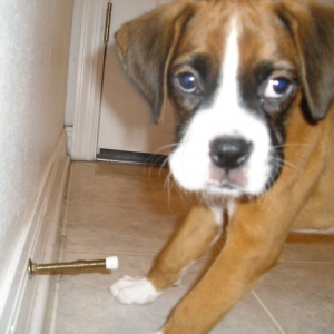 Kahne