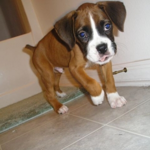 Kahne