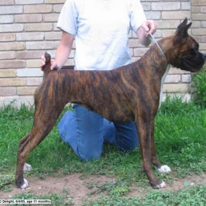 Wannabe at 11 months
