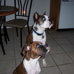 two trouble makers