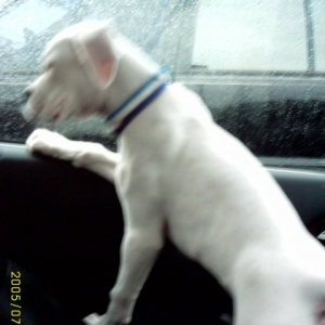 rainy_day