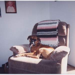 Vex 5yrs