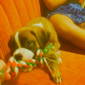 playiiing!!!!