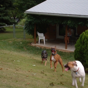 Play Date