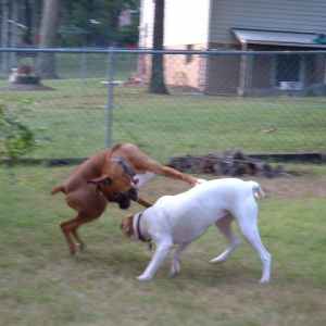 Playing