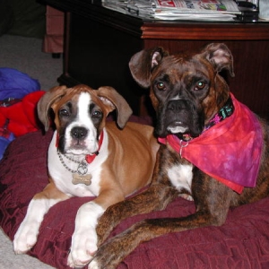 Murphy and Dana Sitting Pretty!