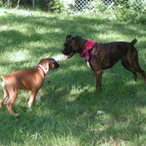 New Best Buds