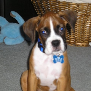 Kahne