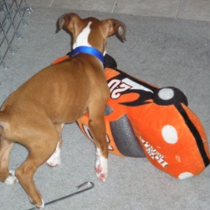 Kahne