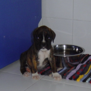 Vilma in the kitchen