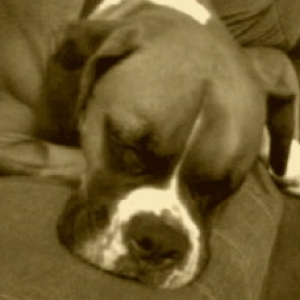 Samson sleeping
