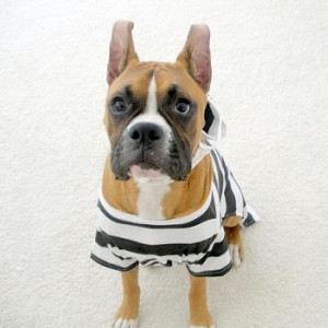 Tre's costume for Halloween 2005