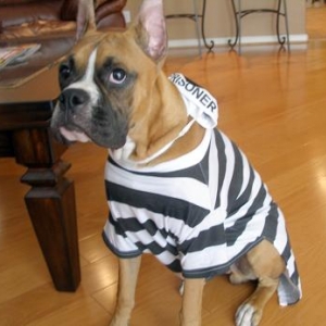Ex-convict!