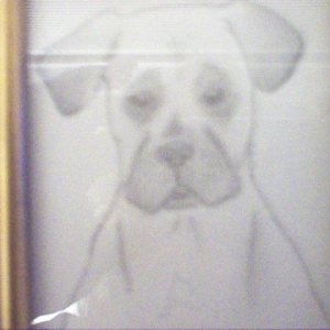 Portrait of Isis - Age 2