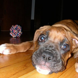 Friday with her favorite ball
