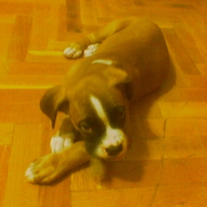 chewing!