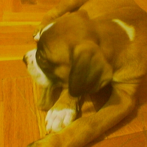 chewing again