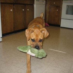 Abbie with Froggie.