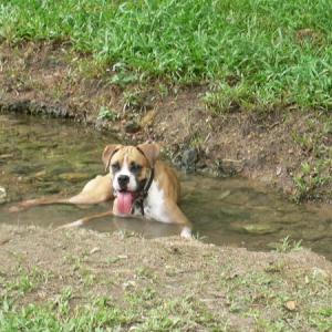 Cooling off