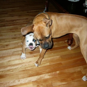 Dakota and her new brother Harley